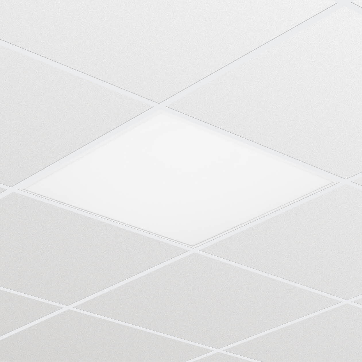 LED panely